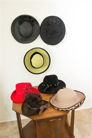 Hat Collection.  20 Hats