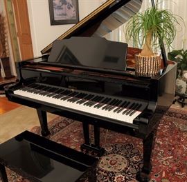 Weber Baby Grand Piano on oriental rug
