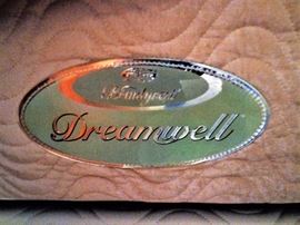 Twin Adjustable Bed w/Dreamwell Mattress