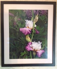 Artist made photograph 