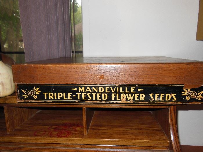 Mandeville flower seed display box