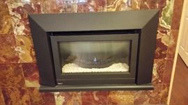 Regency Gas Fireplace insert 795.00