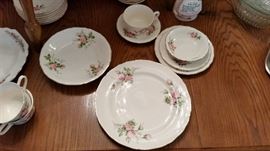 Canonsburg Moss Rose China service for 12 plus servicing pieces