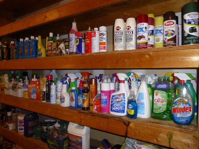 LOTS OF CLEANING AND GARAGE SUPPLIES 