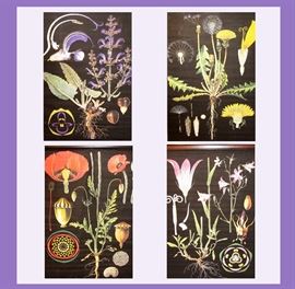 4 Botanical Scrolls in Vivid Colors 