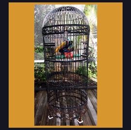 Tall Bird Cage and Large Bird  