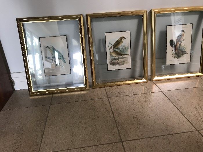 Audubon prints floating in gold and glass frames