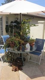 PATIO FURNITURE & ONLY A FEW OF THE PLANTS AVAILABLE