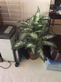 Shredder / Artificial Plant