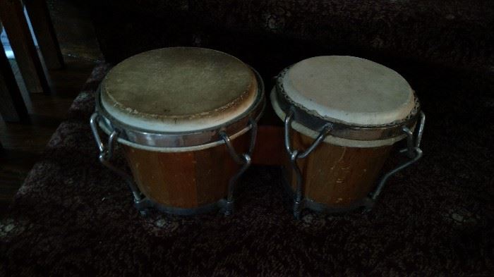 Older bongos
