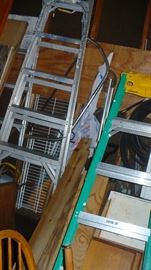 SEVERAL LADDERS