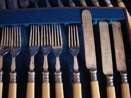 View of the fruit set - service for six