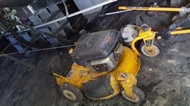 Lawn Mower and Yard tools