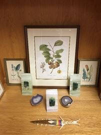 Sample of botanical prints, stone bookends, bone knife