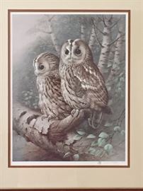 One of 2 framed owl prints
