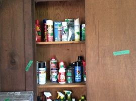 Lots of cleaning supplies