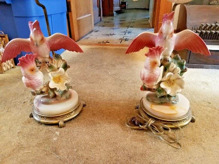 Pair of Rare Vintage Cockatiel Lamps