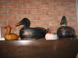 Decoy collection