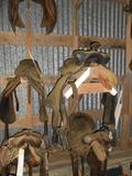Saddles and More in Tack Room