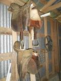 Western and English Riding Saddles