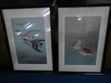 Pair of Prints
