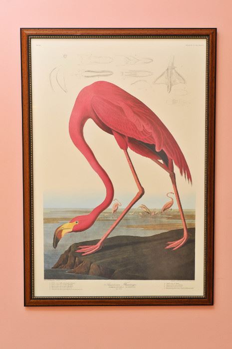 Princeton limited edition, double-elephant folio size, signed, raised seal, lithograph of Audubon's American Flamingo