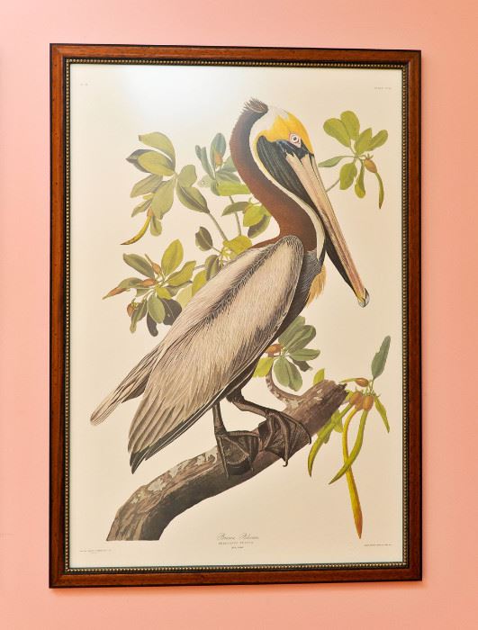 Princeton limited edition, double-elephant folio size, signed, raised seal, lithograph of Audubon's American Pelican