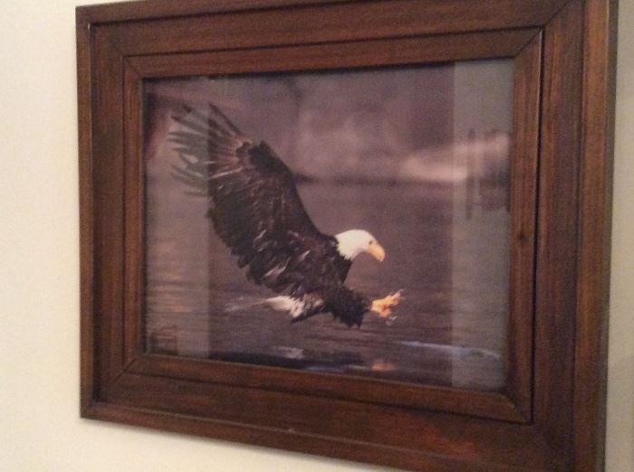 eagle home decor picture