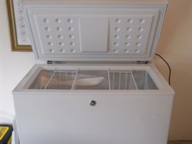 Chest Freezer