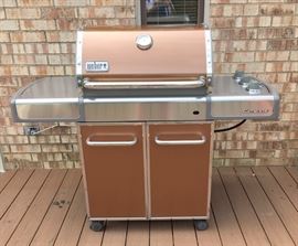 Weber Grill