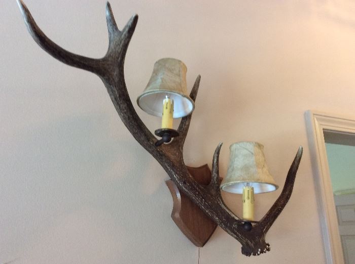 Horn sconce with lights