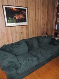 sleeper sofa