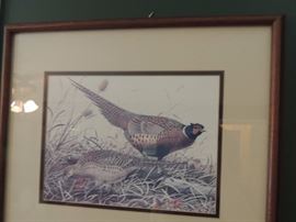 William Zimmerman bird prints