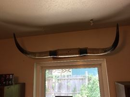 Texas Longhorn rack for your wall, very cool!!