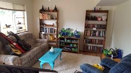 Book Shelves, Books, Sofa, Coffee Table
