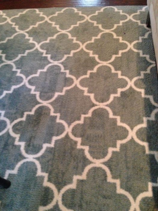 Quatrefoil Carpet / Rug
