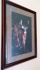 Framed 23 ½” x 15” Carl R. Sams II Signed Deer Print