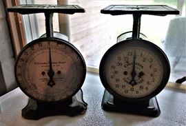 Columbia Family Scales