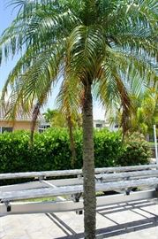 all landscaping will be sold