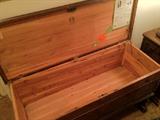 Cedar trunk by Lane