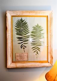 Framed Fern Leaf Artwork