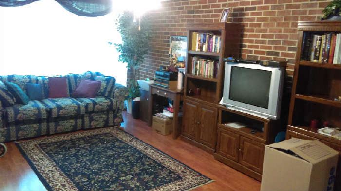 rug $60 6x 9, tv $$60, bookcases each $60, books each $4 hardcover $1 soft covers and magazines final price, tv stand $28, ficus tree $10, striped floral sofa $140, throw pillows $4 each, side table $28