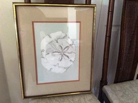 Sand dollar art