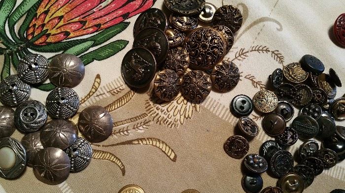 metal buttons of various kinds