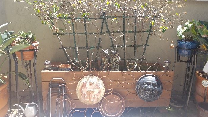 Planter box with large Bouganvilla plants, garden wall décor, owls plotting, ... 