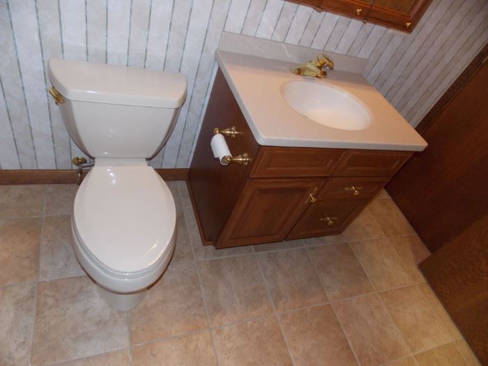 vanity toilet