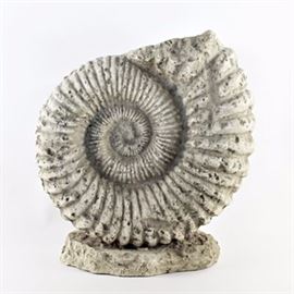 Synthetic Fossil Cast: A synthetic fossil cast. This cast is of a large echioceras ammonite.