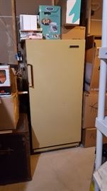 Upright Freezer