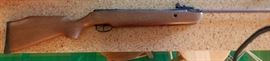 Remington Air Rifle