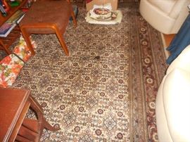 Hand Knotted Oriental Rugs